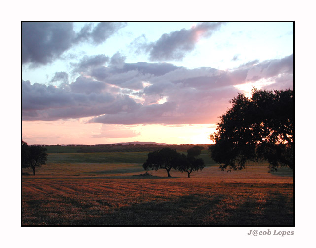 photo "at the close of day" tags: landscape, clouds, sunset