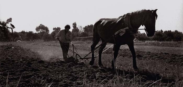 photo "...the plowman" tags: genre, portrait, man