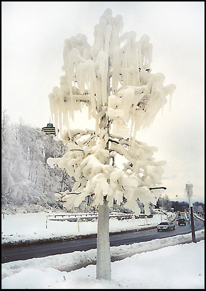 photo "Ice Tree" tags: landscape, winter