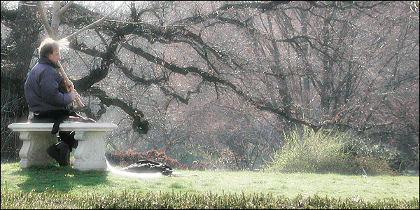 photo "Flute Player" tags: landscape, misc., spring