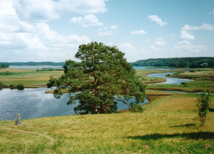 фото "Река Сороть" метки: пейзаж, вода, лето