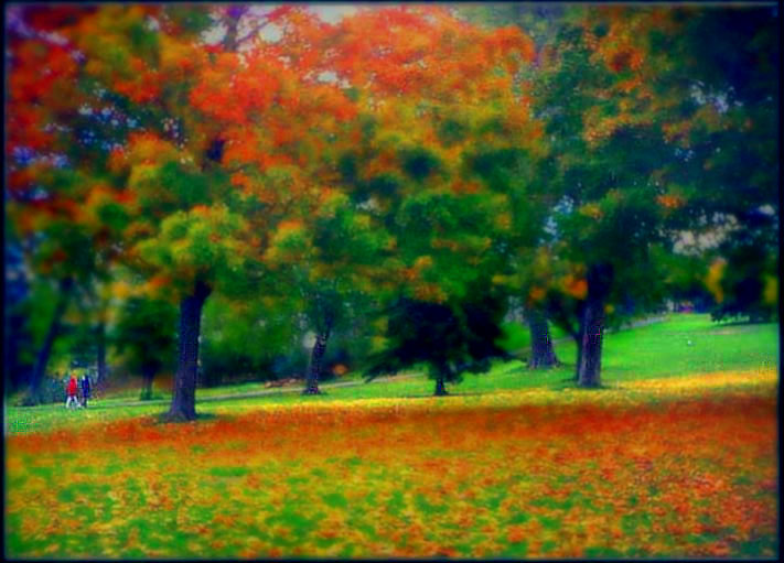photo "A Walk" tags: landscape, nature, autumn, flowers