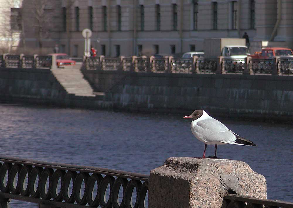 photo "Untitled photo" tags: architecture, landscape, 