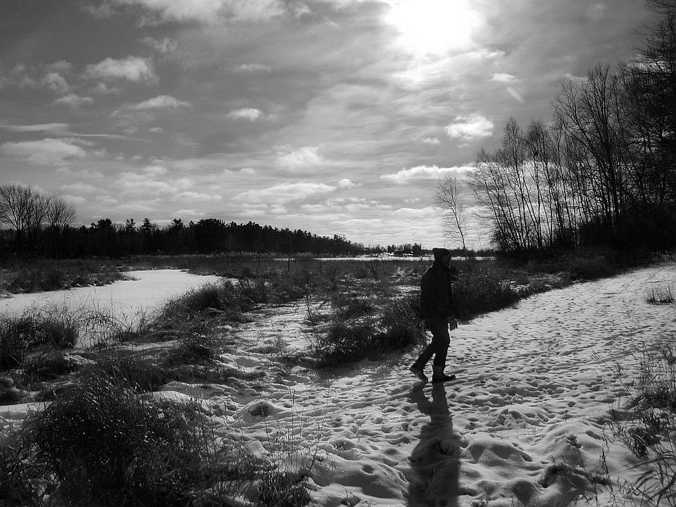 photo "Cold Walk in Warm Sun" tags: landscape, genre, winter