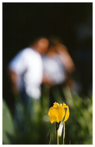 photo "Spring Time" tags: nature, flowers