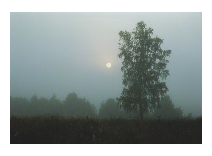 фото "Stillness of the Present" метки: природа, 