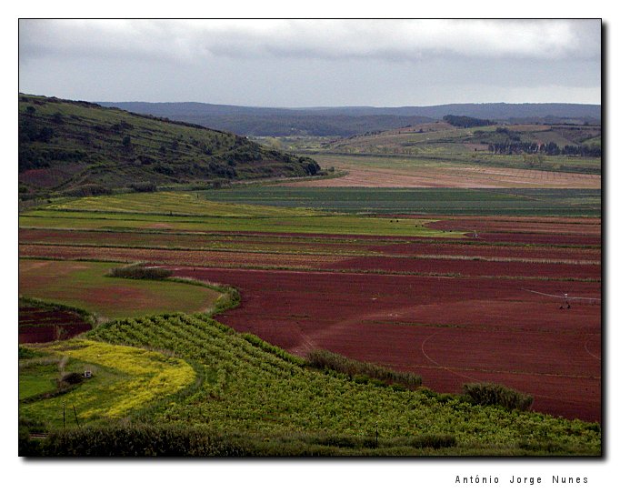 photo "Land Colors" tags: landscape, spring