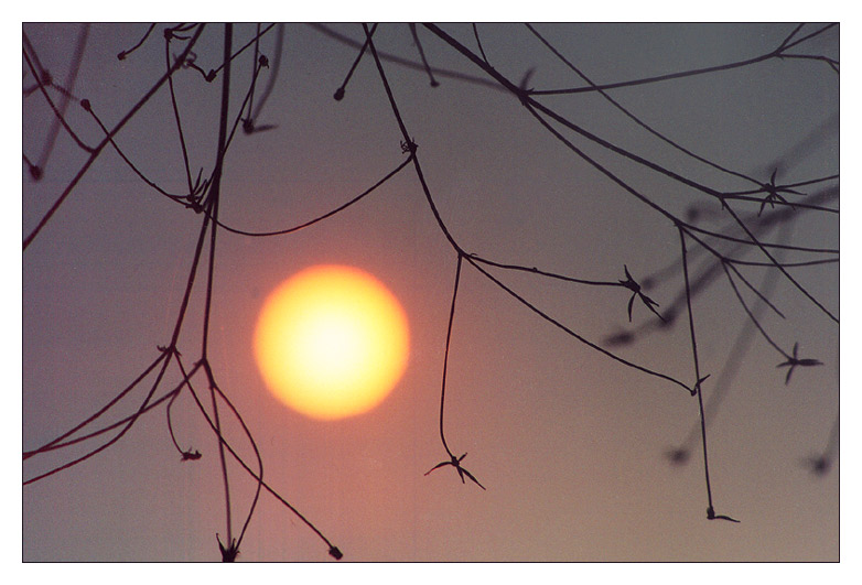 photo "Sun drawing" tags: landscape, nature, sunset