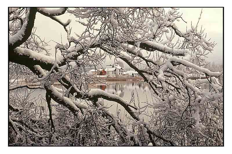 photo "At lake" tags: landscape, water, winter