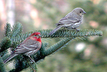 photo "Spending Quality Time....." tags: nature, wild animals