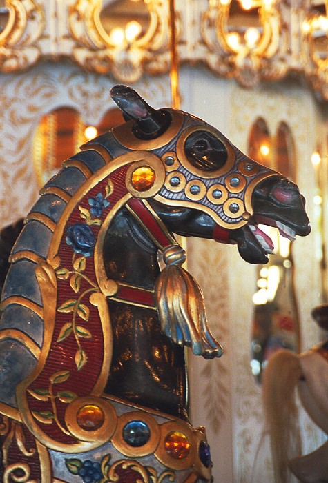 photo "The Carousel 1" tags: misc., 