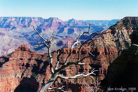 photo "Great Grand Canyon" tags: travel, North America