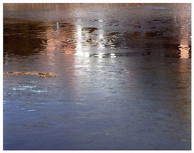 фото "Первая вода." метки: пейзаж, весна