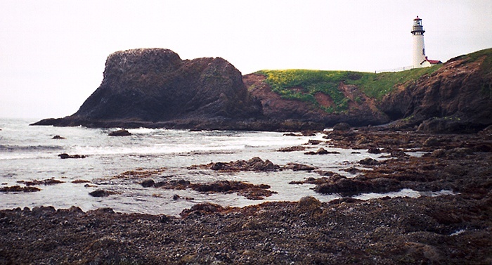 photo "Light house on the Oregon coast" tags: misc., landscape, 