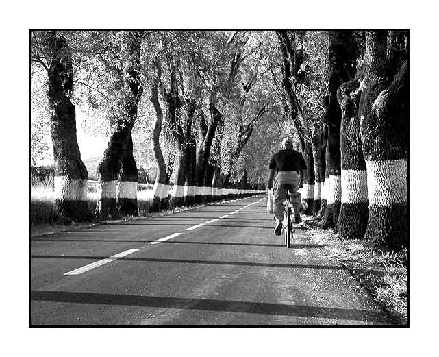 photo "The cyclist" tags: reporting, 
