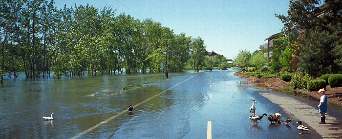 фото "Over flow" метки: репортаж, пейзаж, вода