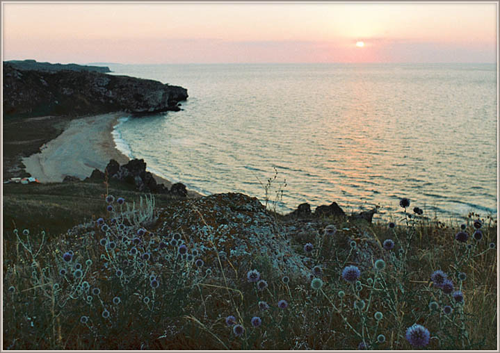 фото "Закат на Азове (и будячки)" метки: пейзаж, вода, закат