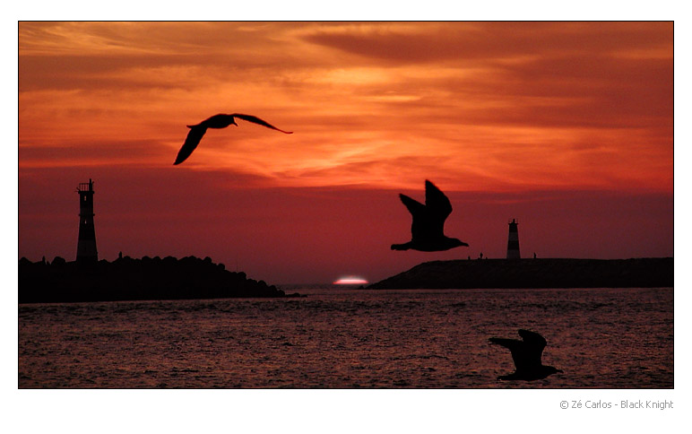 фото "Between Lighthouses" метки: пейзаж, природа, дикие животные, закат