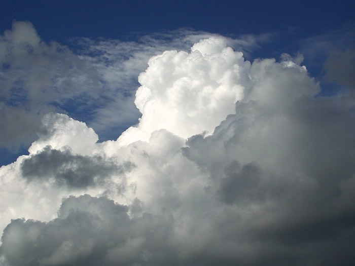 photo "Lord of heavens (Cumulus Congestus)" tags: landscape, clouds