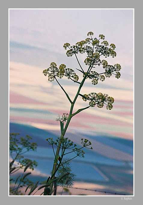 photo "Untitled photo" tags: landscape, 