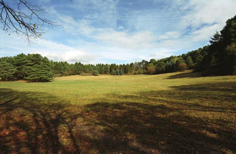 photo "There on picnic :-)" tags: landscape, autumn, forest