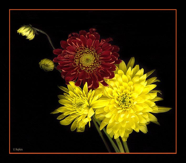 photo "Untitled photo" tags: still life, 