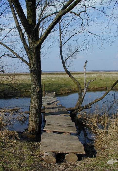 photo "The small bridge" tags: landscape, nature, spring