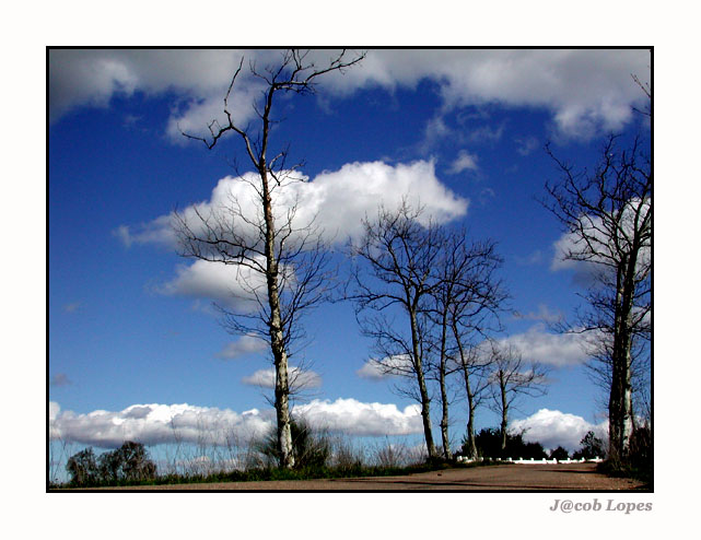 photo "on the road" tags: landscape, clouds, winter