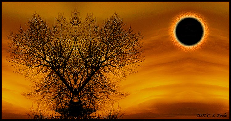 photo "Eclipse" tags: montage, 