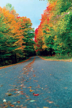 фото "Fall Drive in Michigan" метки: пейзаж, путешествия, Северная Америка, осень