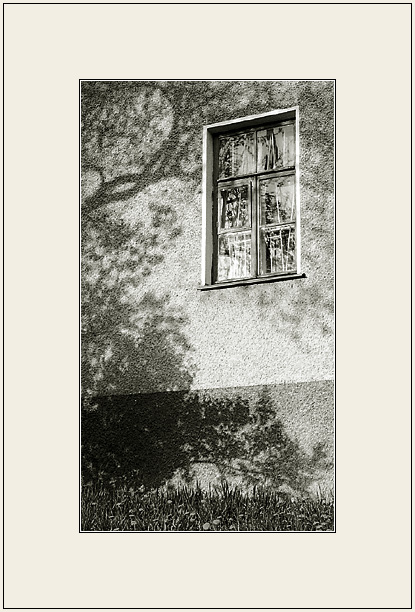 photo "For Maestro" tags: misc., 