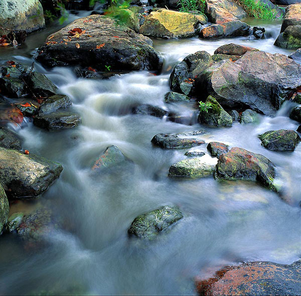 photo "Stream of water." tags: landscape, water