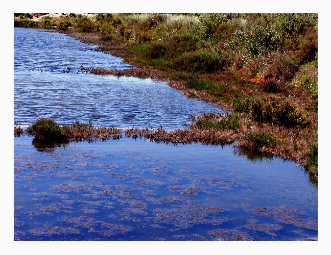 фото "Mother Nature #1" метки: пейзаж, вода