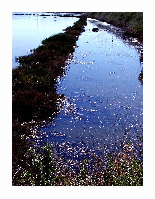 фото "Mother Nature #2" метки: пейзаж, вода