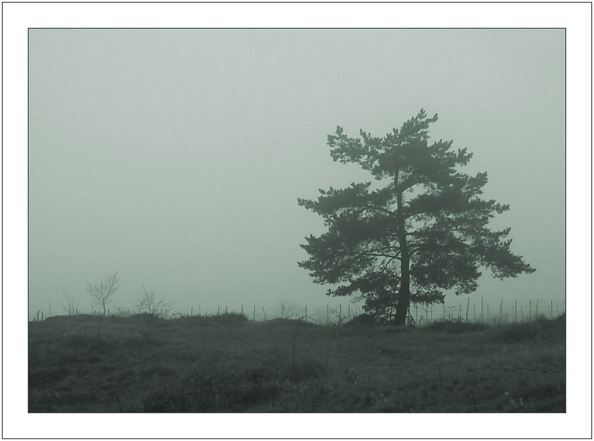 photo "*****" tags: landscape, 
