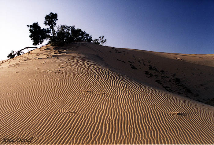 photo "Dunes # 3" tags: travel, landscape, Africa