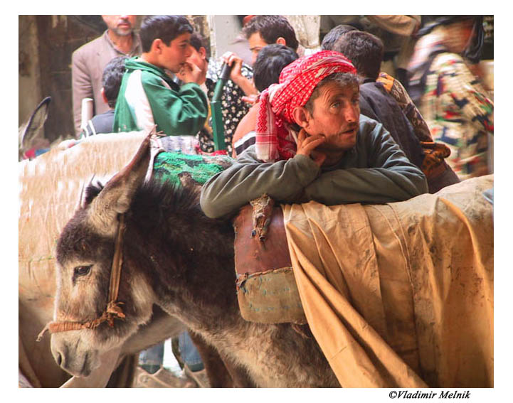 photo "Tranquillity of donkey and its owner against a mar" tags: reporting, travel, Asia