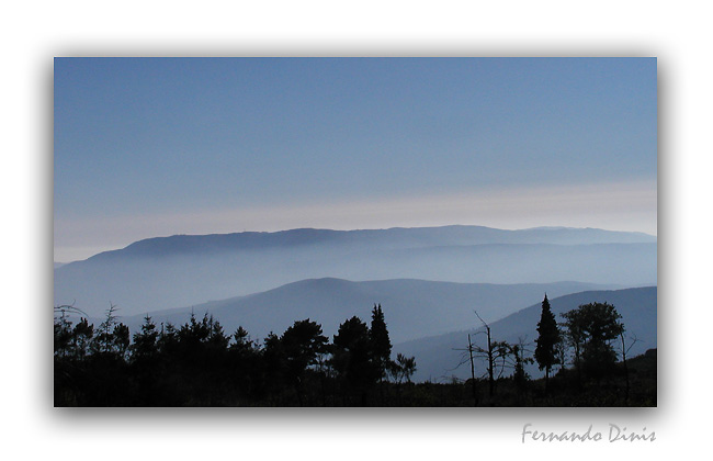 photo "Spectators" tags: landscape, forest, mountains