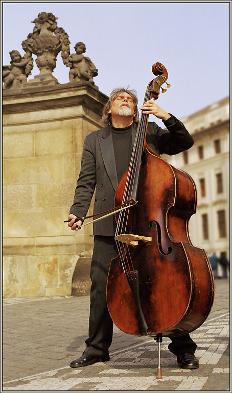 photo "Forgotten song (double-bass)" tags: genre, 