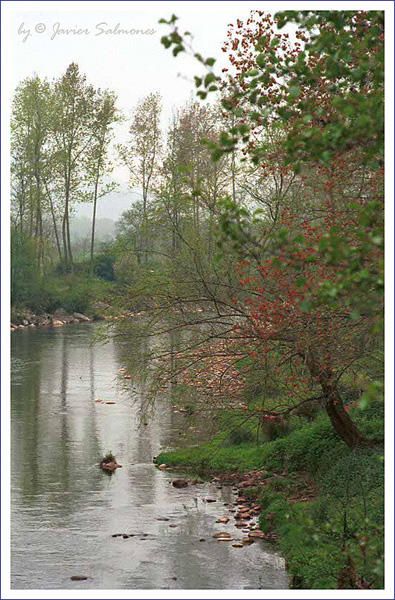 фото ""River Saja"" метки: пейзаж, вода