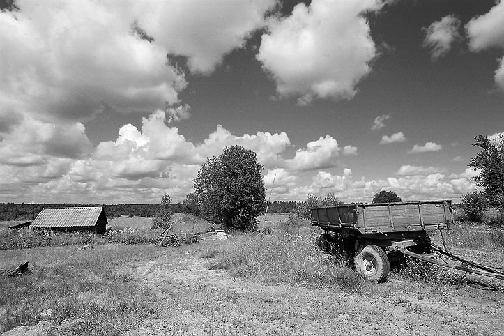 photo "The trailer, small house and tree" tags: landscape, genre, 