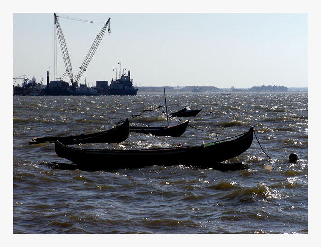 photo "Rocking Boats" tags: landscape, water