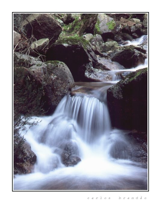 фото "just water" метки: разное, 