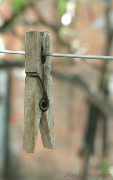 photo "On pension" tags: macro and close-up, genre, 