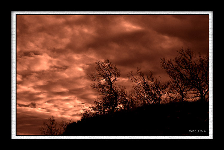 photo "Winter Gloom" tags: landscape, clouds, winter