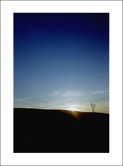 photo "A lonely tree" tags: landscape, clouds, sunset