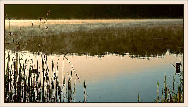 photo "Morning on lake Zhuchka." tags: landscape, nature, water