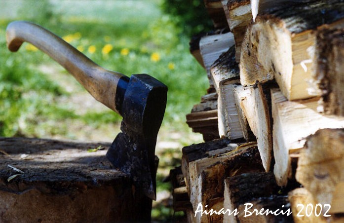 photo "It will be warm next winter...." tags: still life, 