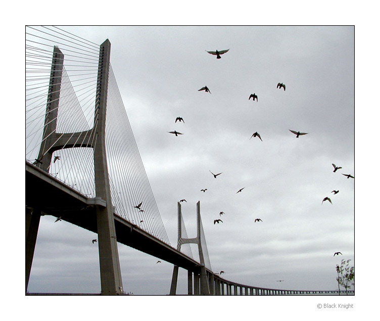 photo "Today...I fly..." tags: architecture, nature, landscape, wild animals