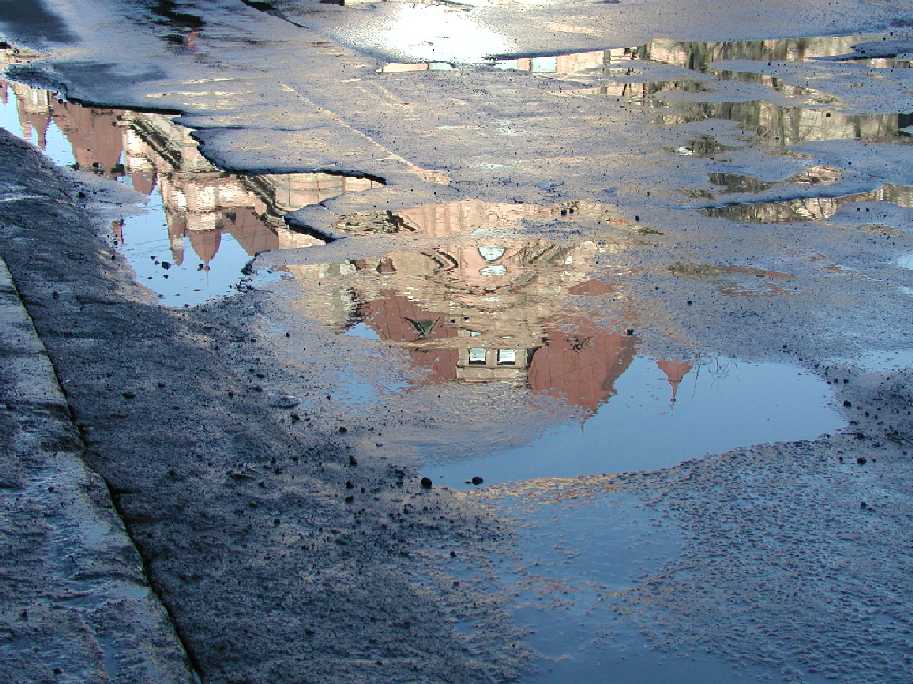 фото "in the puddle" метки: разное, 